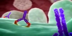 Mechanism of Action Animation for Rituxan, a drug manufactur