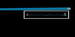 Intermediate Filaments Definition