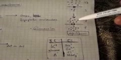 Cell transport physiology (part 1 out 5)