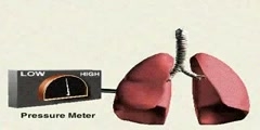 Breathing Mechanism part-2