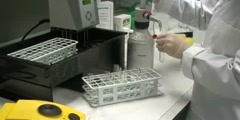 Total starch assay: training video part 2