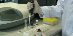 Assay of l-malic acid - training video
