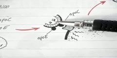 Overview of lipoprotein physiology part 3