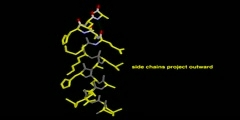 Secondary structure of protein: alpha helix