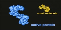 Inactivation of protein