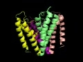 Introduction With Potassium Channel