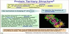 Protein folding