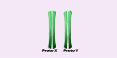 Evolution of the Y Chromosome Part 1