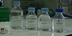 Assay of amylose and amylopectin: training Video