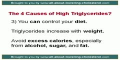 The 4 causes of high triglycerides