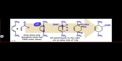 Diels alder stereochemistry explained