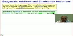 Enzymatic elimination processes