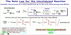 Compare uncatalyzed and catalyzed ester hydrolysis