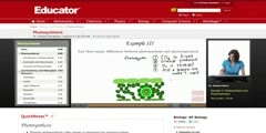 Differences between photosynthesis and photorespiration