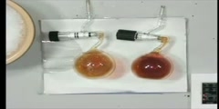 Effect of Temperature on an Equilibrium Reaction