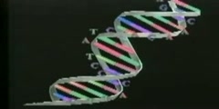 Genetics Entering Molecular Age