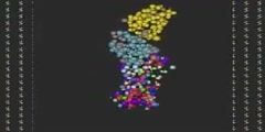 Straddling on DNA  Human TFIIA TBP DNA Complex