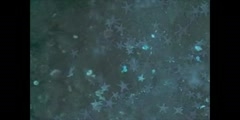 Abyssopelagic - Frigid Waters