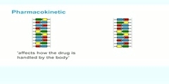 Pharmacogenomics variation in drug responses