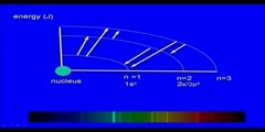 Spectroscopy of flame atomic absorption