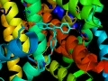 Estrogen receptor binding mode raloxifene