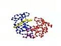 What is HIV Protease Substrate Interaction?