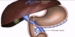 Oral Meds Absorption