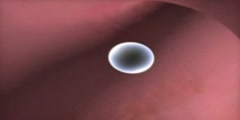Understanding Embryonic Stem Cells #4