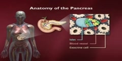 Understanding Embryonic Stem Cells #6