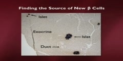 Understanding Embryonic Stem Cells #16