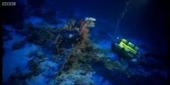 The Pacific Abyss fish collectors