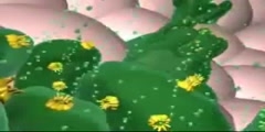 3D animation of a peptic ulcer