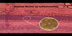 Cell Adhesion Molecule Inhibition