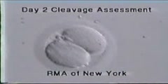 The IVF laboratory in New York