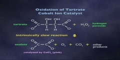 Catalysis: Chemical and Biochemical pt 7