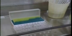 HIV in the research laboratory PART 6