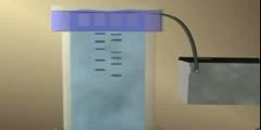 Electrophoresis