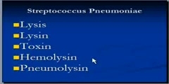 Terminology of Pneumonia
