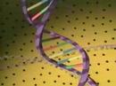 Structure of DNA (Deoxyribonucleicacid)