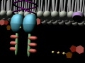 Tyrosine Kinase  Receptor Animation