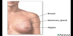 Symptoms of Breast Cancer