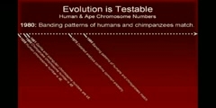 Does The Evidence Support Evolution