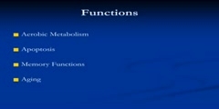 Cell metabolism and mitochondria